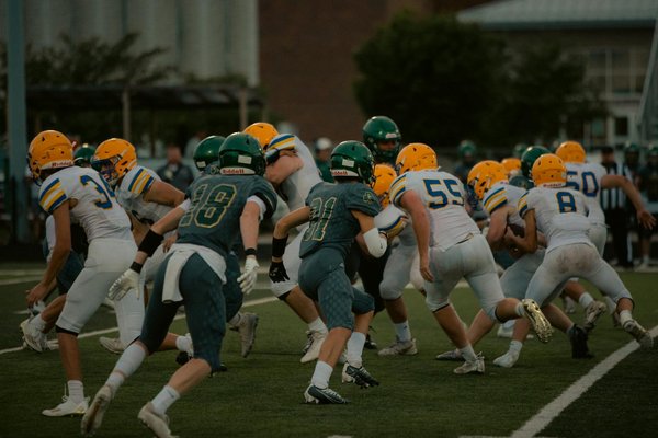 Segnali di Declino Cognitivo nei Gatti Siamese Anziani: Guida al Riconoscimento