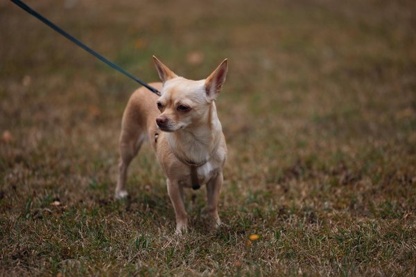 Secretos para un Año de Éxito: Mantenimiento del Vehículo para un Rendimiento Impecable